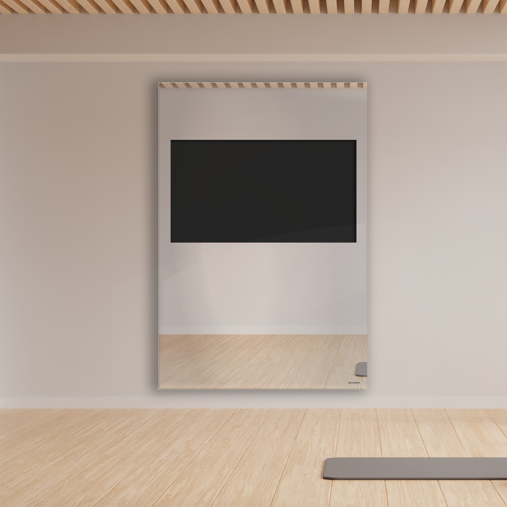Fitness Mirror TV