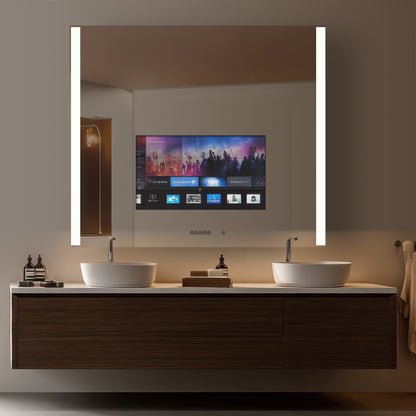 Ascent Mirror TV - WL02 Series
